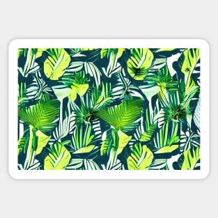 Tropical plants nature background Sticker